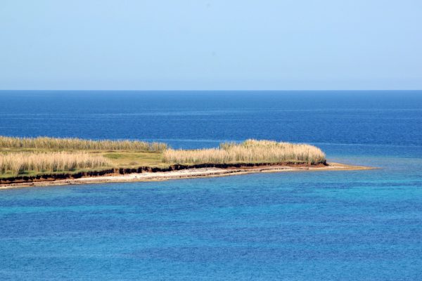 Unije - photo 11
