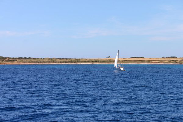 Unije - photo 26