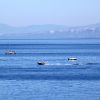 Veli Lošinj - photo 30