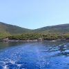 Vinodarska - photo 7