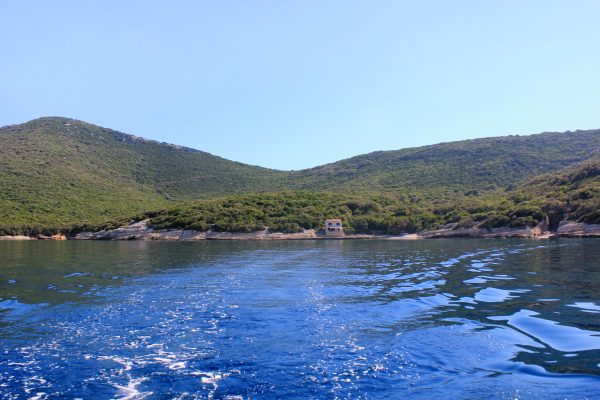 Vinodarska - photo 7