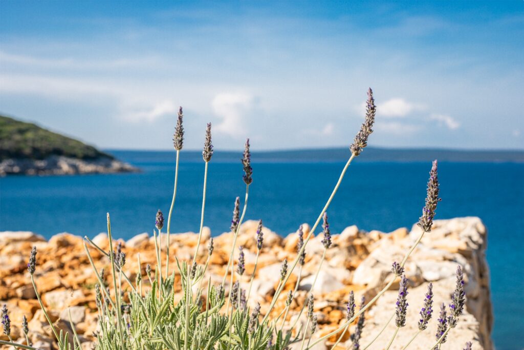 Kvarner Losinj Zatanki Croatia