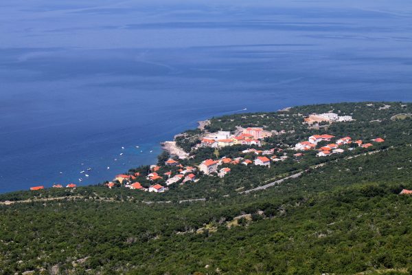 Smokvica Krmpotska