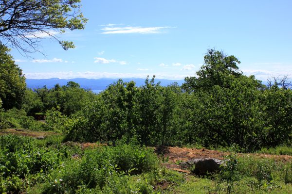 Dobreć - photo 3