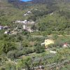 Golovik - photo 2