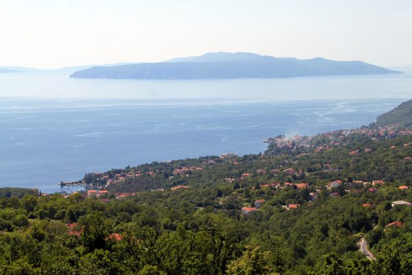 Ika
