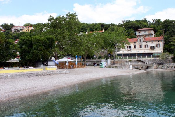 Ika - photo 10