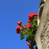 Jušići - photo 6