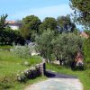 Kraj - photo 3