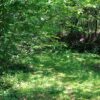 Lovranska Draga - photo 11