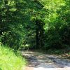 Lovranska Draga - photo 8