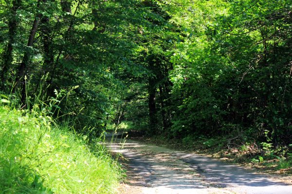 Lovranska Draga - photo 8