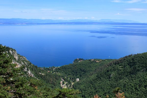 Medveja - photo 2