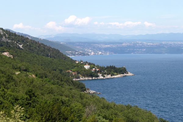 Medveja - photo 5