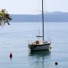 Medveja - photo 8