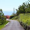 Oprič - photo 1