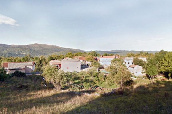 Ružići