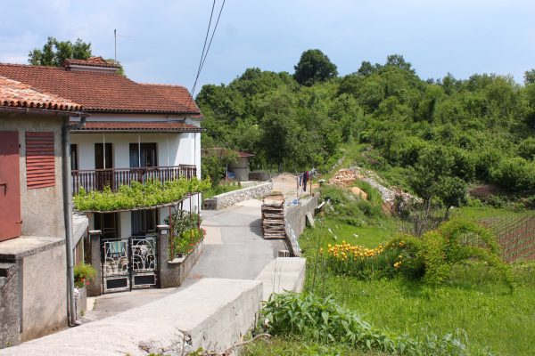Veli Brgud - photo 3
