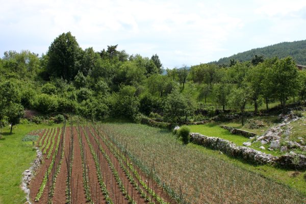 Veli Brgud - photo 4