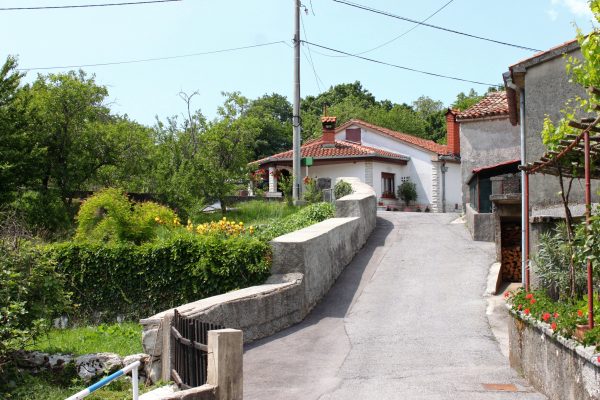 Veli Brgud - photo 5