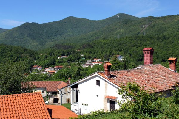 Veprinac - photo 1