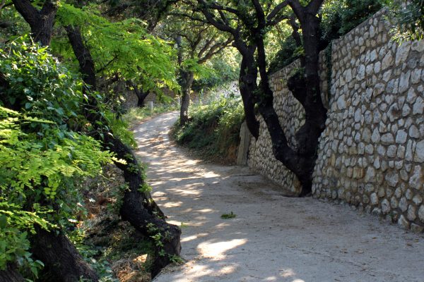 Bošana - photo 3