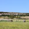 Caska - photo 6
