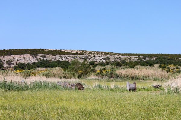 Caska - photo 6