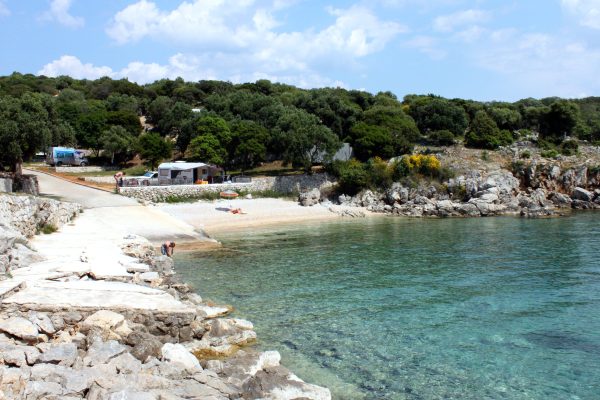 Dražica