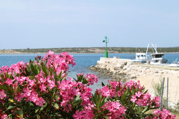 Košljun