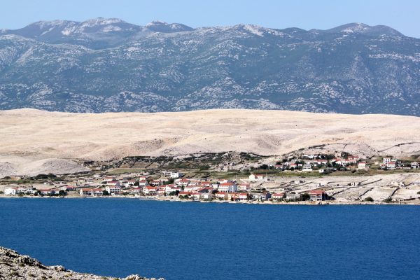 Kustići