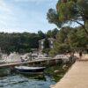 Mandre - photo 10