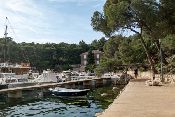 Mandre - photo 10