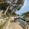 Mandre - photo 11