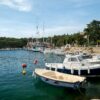 Mandre - photo 12