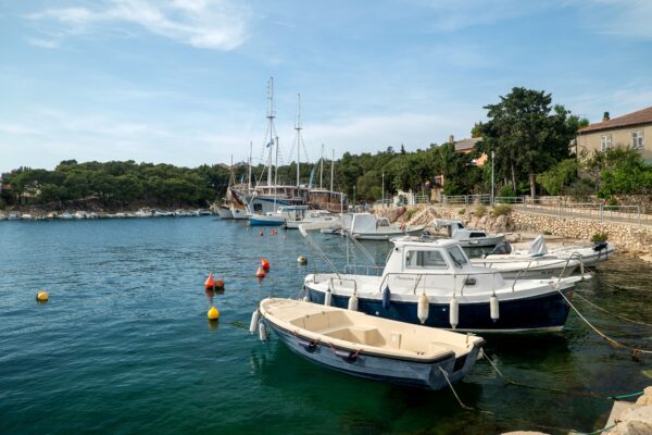 Mandre - photo 12