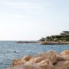 Mandre - photo 13