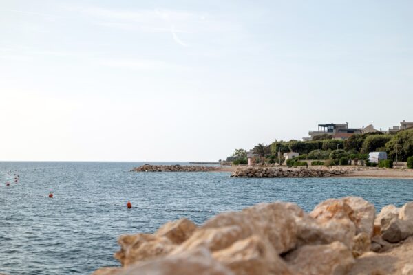 Mandre - photo 13