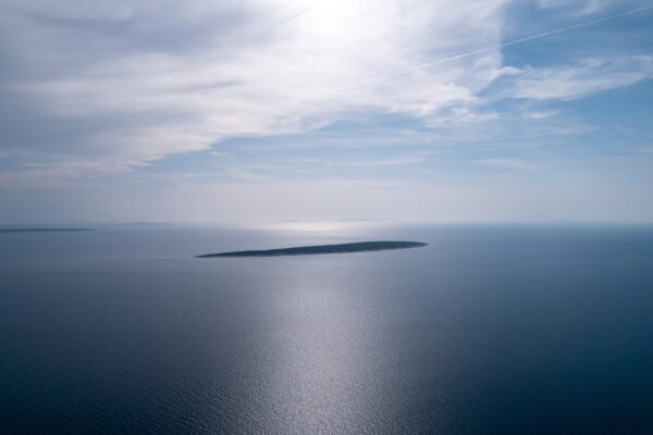 Mandre - photo 14