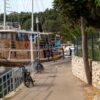 Mandre - photo 7