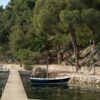 Mandre - photo 8