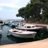 Mandre - photo 9