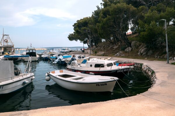 Mandre - photo 9