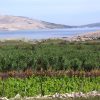 Metajna - photo 12