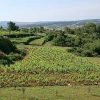 Novaljsko Polje - photo 4