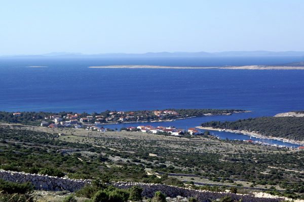 Šimuni