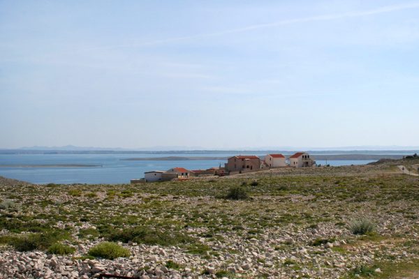 Smokvica