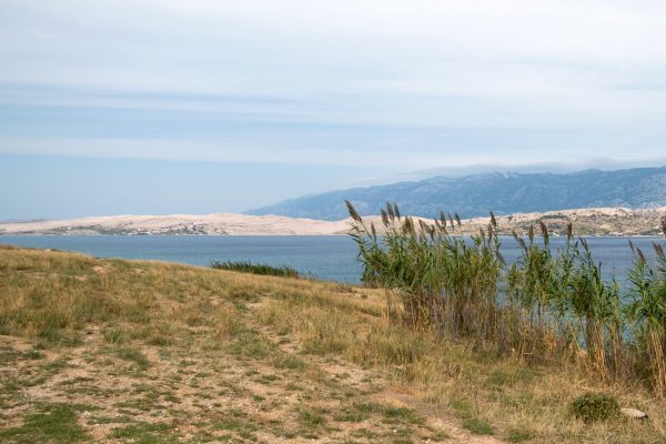 Sveti Marko