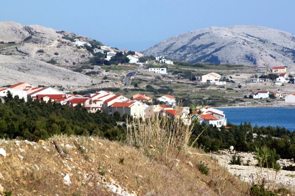 Vidalići