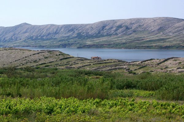 Zubovići - photo 7